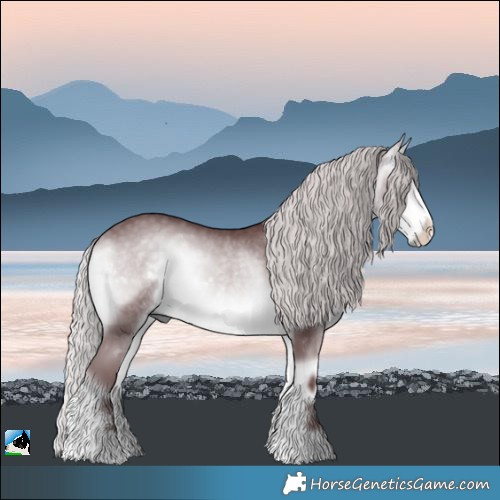 Horse Color:Chocolate Silver Buckskin Chinchilla Onyx Sabino Rabicano 