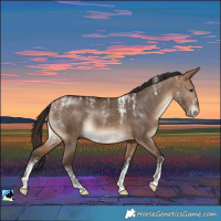 Horse Color:Powder White Bay Dun Rabicano Brindle 