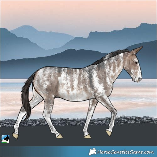 Horse Color:Powder White Brown Dun Sabino Brindle 