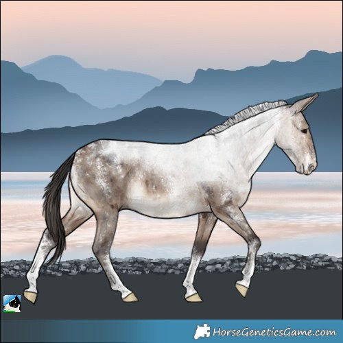 Horse Color:Powder White Brown Dun Sabino Rabicano Brindle
