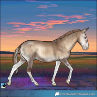 Horse Color:Liver Red Dun Onyx Sabino Brindle 