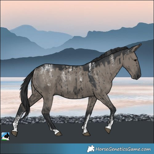 Horse Color:Powder White Grullo Brindle 