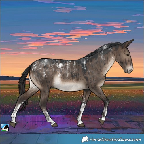 Horse Color:Powder White Brown Dun Brindle 