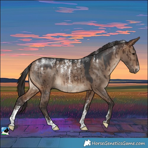 Horse Color:Powder White Brown Dun Brindle