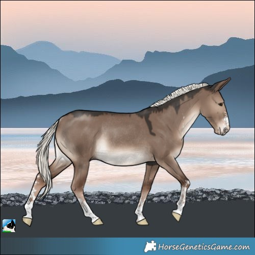 Horse Color:Liver Red Dun Mushroom Sabino Rabicano