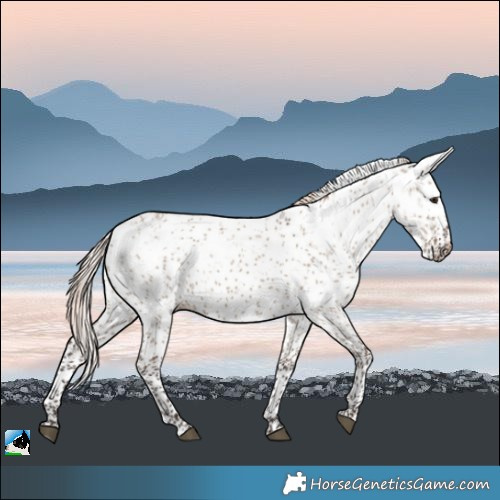 Horse Color:Liver Red Dun Mushroom Sabino 