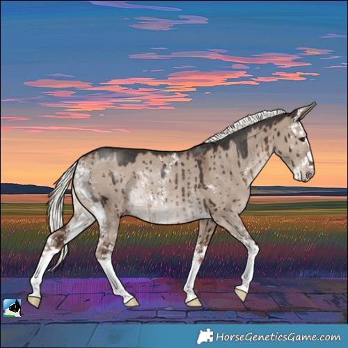 Horse Color:Liver Red Dun Mushroom Sabino Rabicano Brindle