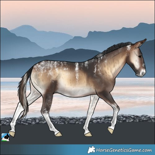 Horse Color:Powder White Bay Onyx Brindle