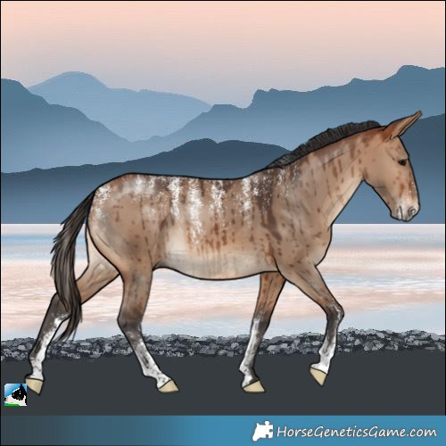Horse Color:Powder White Bay Dun Brindle
