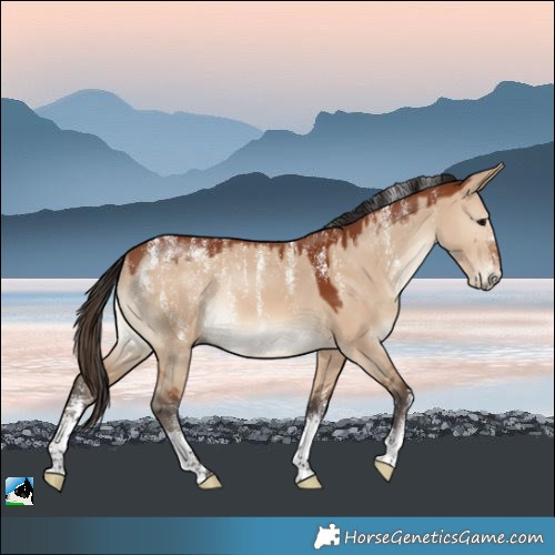 Horse Color:Powder White Bay Dun 