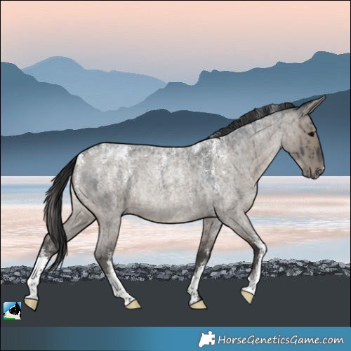 Horse Color:Powder White Grullo Roan Rabicano Brindle 