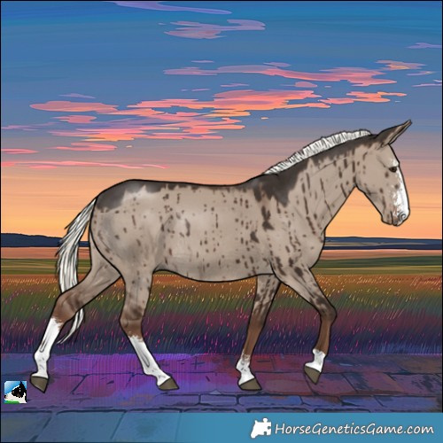 Horse Color:Liver Red Dun Mushroom Sabino Rabicano Brindle 