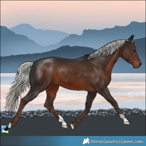 Horse Color:Liver Chestnut Mushroom