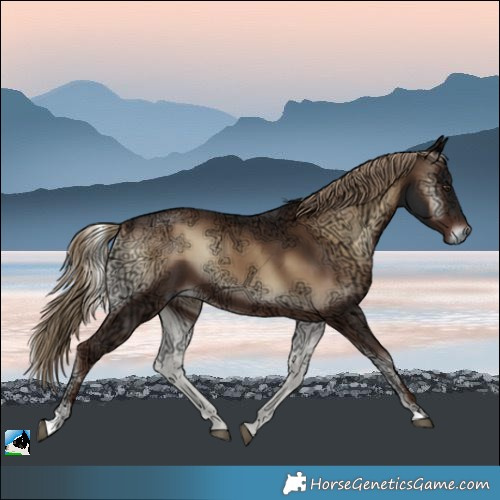 Horse Color:Liver Red Onyx Ice 