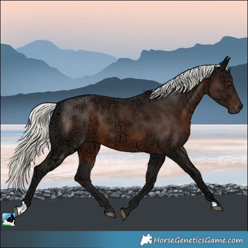 Horse Color:Liver Chestnut Ice Mushroom 