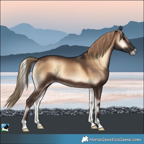 Horse Color:Liver Red Onyx