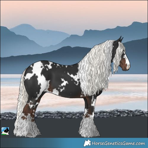 Horse Color:White Spotted Liver Chestnut Mushroom