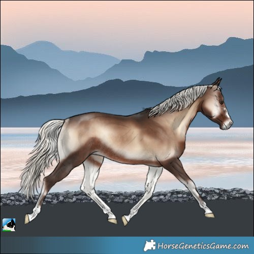 Horse Color:Liver Red Onyx Mushroom Rabicano 
