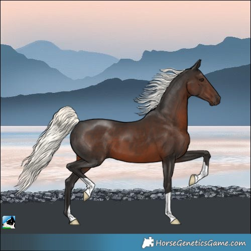 Horse Color:Liver Chestnut Mushroom