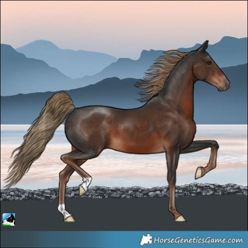 Horse Color:Liver Chestnut