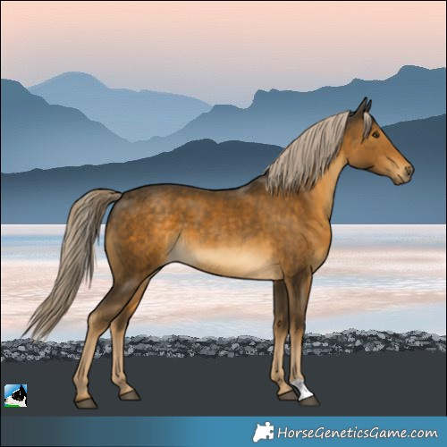 Horse Color:Chocolate Palomino Mushroom