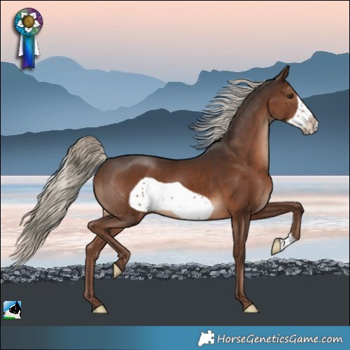 Horse Color:Liver Chestnut Mushroom Frame