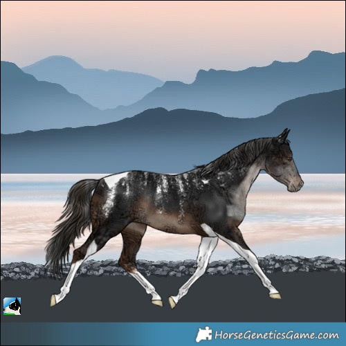 Horse Color:Powder White Liver Chestnut Ice Tobiano Rabicano