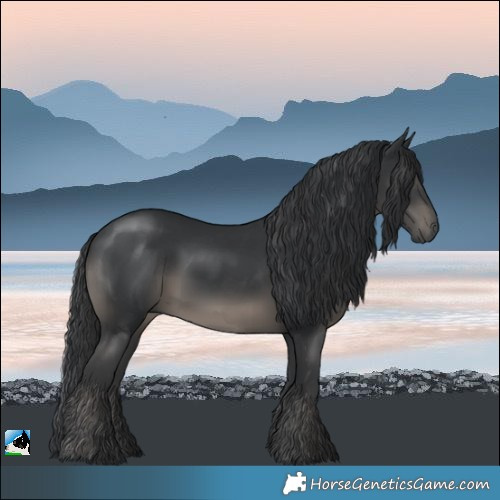 Horse Color:Platinum Black Rabicano 
