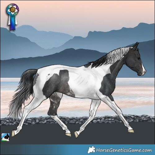 Horse Color:Platinum Brown Tobiano Rabicano 