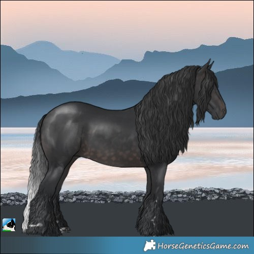 Horse Color:Platinum Brown Rabicano 
