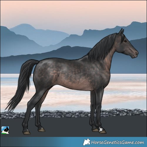 Horse Color:Platinum Brown Rabicano 