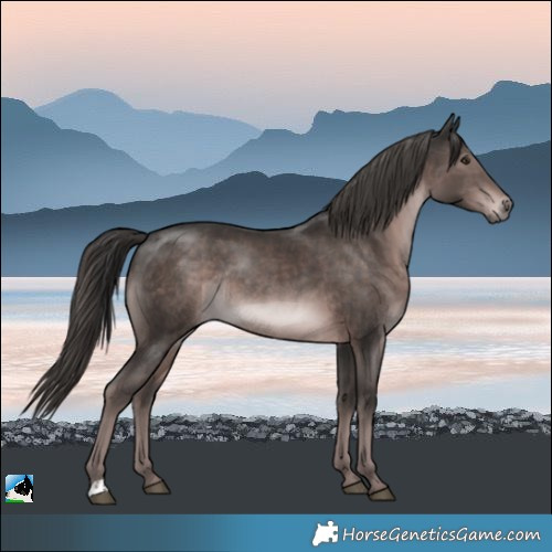 Horse Color:Platinum Liver Chestnut Rabicano