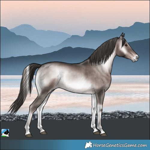 Horse Color:Platinum Liver Red Onyx Rabicano