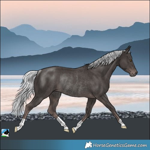 Horse Color:Platinum Liver Chestnut Mushroom Rabicano