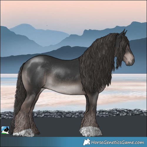 Horse Color:Gray Platinum Liver Chestnut Rabicano