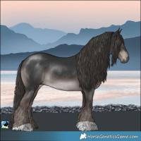 Horse Color:Gray Platinum Liver Chestnut Rabicano