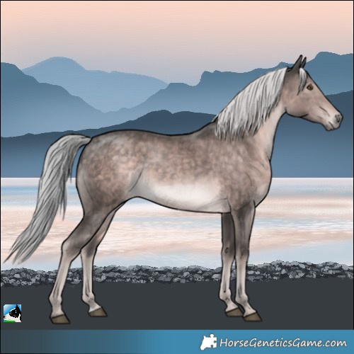 Horse Color:Platinum Chocolate Palomino Rabicano 