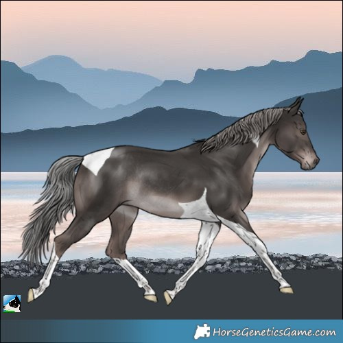 Horse Color:Platinum Liver Chestnut Tobiano Rabicano 
