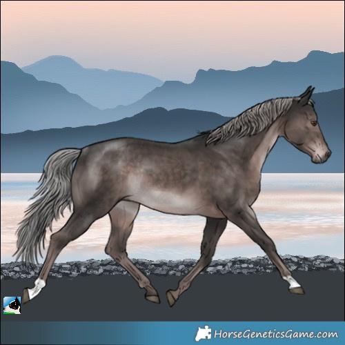 Horse Color:Gray Platinum Liver Chestnut Rabicano 
