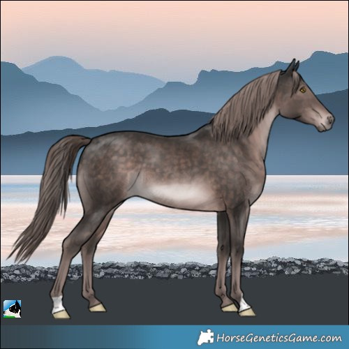 Horse Color:Platinum Liver Chestnut 