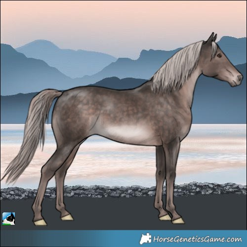 Horse Color:Platinum White Spotted Liver Chestnut 