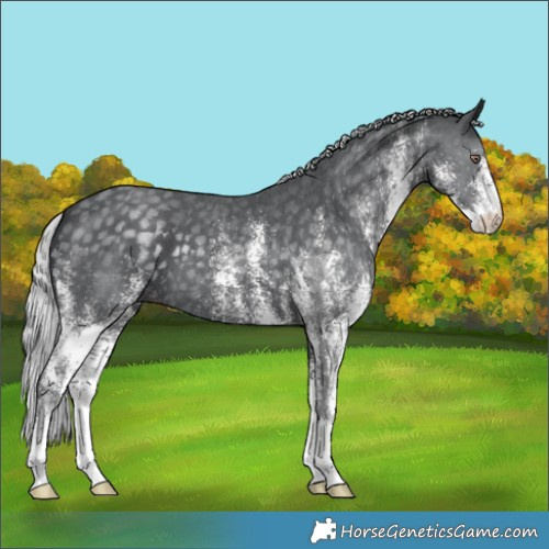 Horse Color:White Spotted Silver Black Chinchilla 