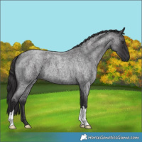 Horse Color:Smoky Blue Chinchilla Roan 