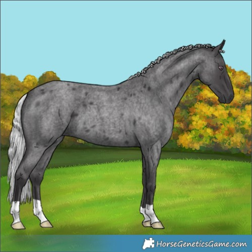 Horse Color:Silver Smoky Blue Chinchilla Roan 