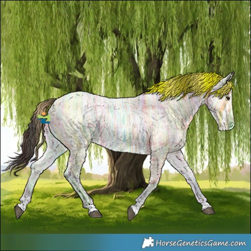 Horse Color:Plaid Buckskin Ice Tobiano