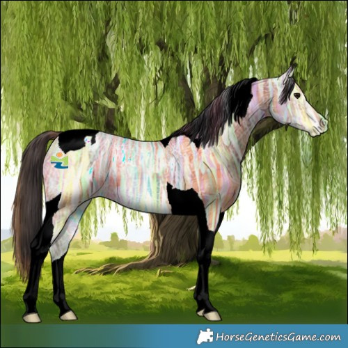 Horse Color:Plaid  Bay Ice Tobiano 