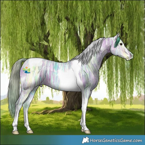 Horse Color:Watercolor Bay Ice Tobiano Rabicano
