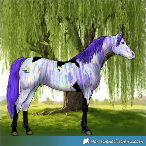 Horse Color:Watercolor Black Ice Tobiano Rabicano 