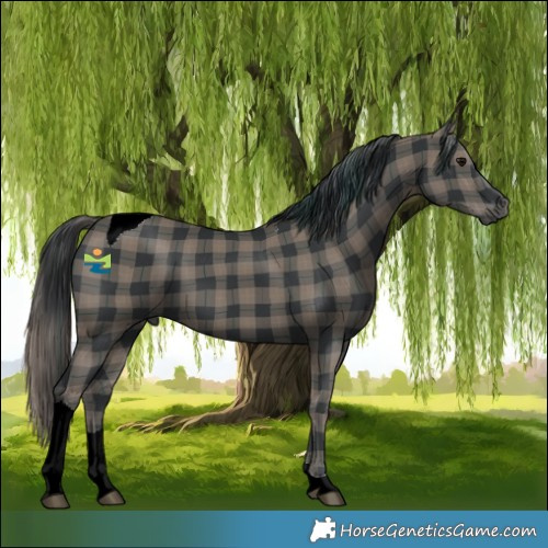 Horse Color:Plaid Black Tobiano