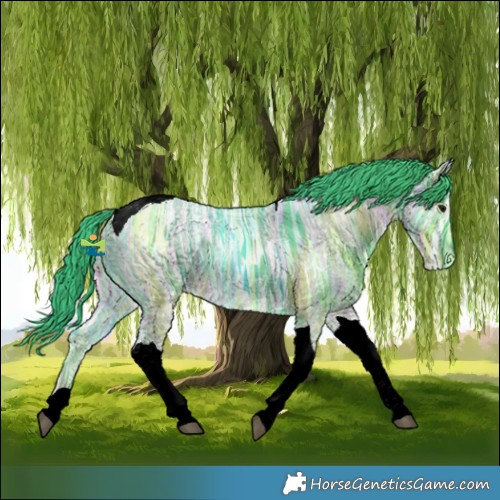Horse Color:Watercolor Black Ice Tobiano Rabicano